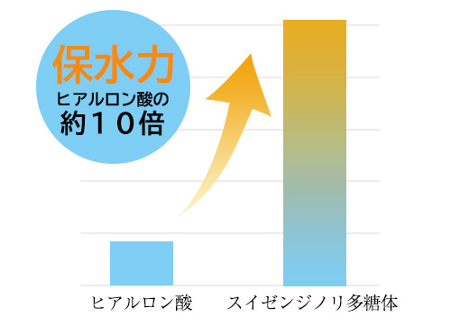 保水力グラフイメージ